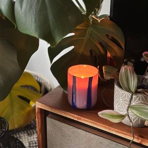 英國M&AElig;GEN Atina 玻璃杯蠟燭-黑醋栗&沉香/280g