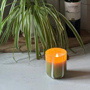 英國M&AElig;GEN Atina 玻璃杯蠟燭-橄欖&檸檬/280g