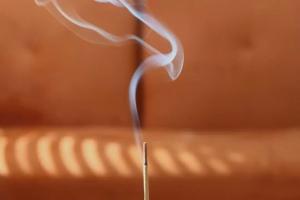 英國M&AElig;GEN 瑪薩拉線香-白鼠尾草