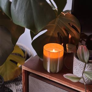 英國M&AElig;GEN Atina 玻璃杯蠟燭-橄欖&檸檬/280g