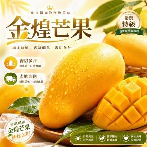 台南楠西-滿滿蔬果合作社-金煌芒果-10台斤【預購】