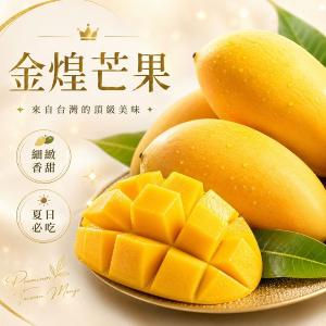 台南楠西-滿滿蔬果合作社-金煌芒果-10台斤【預購】