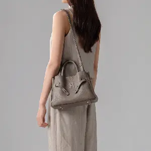 SAOIRSE Belt Soft Structural 迷你單肩手提袋