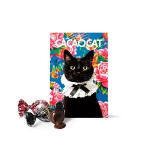 CACAOCAT 貓咪可可糖禮盒6入