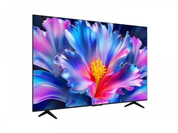 TCL 55P6L 55吋 P6L 4K Google TV 智慧連網液晶顯示器