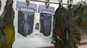 【西尾半島物產店】芙蓉澳地產昆布