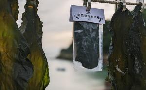 【西尾半島物產店】芙蓉澳地產昆布