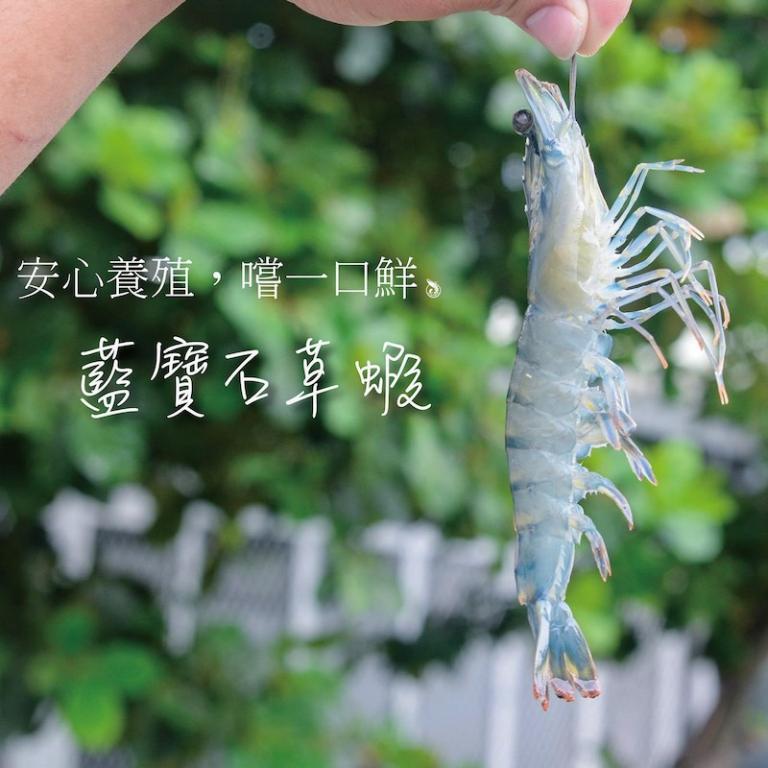 【一夫水產】產銷履歷/藍寶石草蝦 (L/7-10尾)
