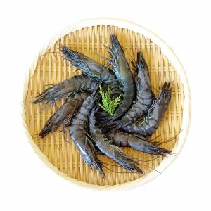 【一夫水產】產銷履歷/藍寶石草蝦 (L/7-10尾)