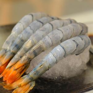 【一夫水產】產銷履歷/藍寶石草蝦仁 (大/10-14顆)