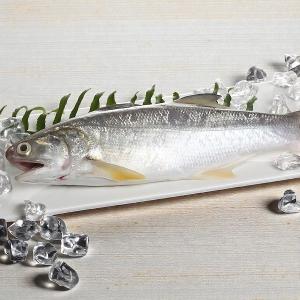 【一夫水產】產銷履歷/午仔魚