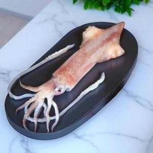【一夫水產】海釣透抽
