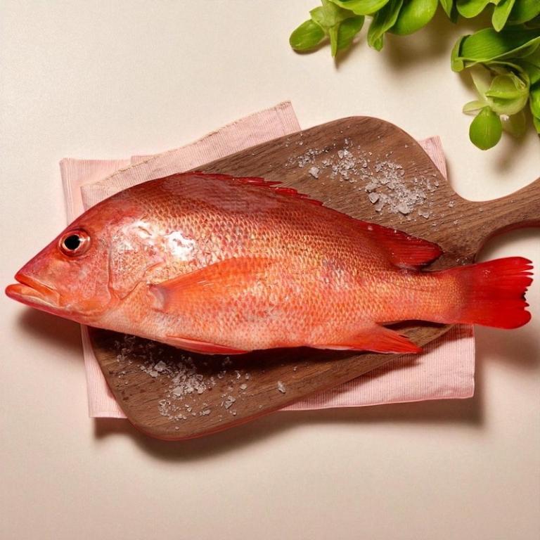 【一夫水產】紅魚/紅雞母