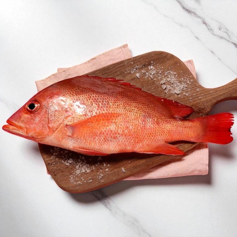 【一夫水產】紅魚/紅雞母