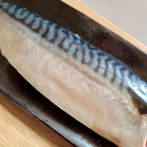 【一夫水產】挪威－頂級鯖魚