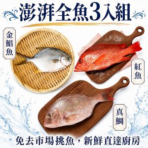【一夫水產】澎湃全魚3入組(金鯧魚x1/ 紅魚x1/ 真鯛x1)