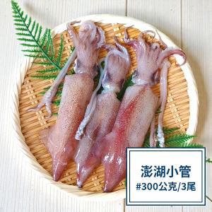 【一夫水產】澎湖小管