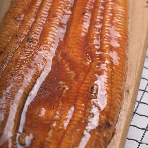 【一夫水產】蒲燒鰻魚