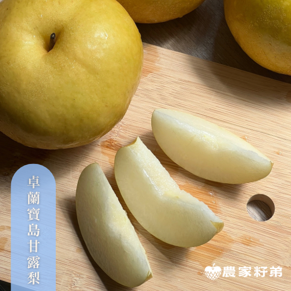 苗栗卓蘭寶島甘露梨