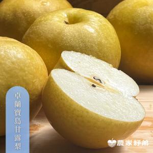 苗栗卓蘭寶島甘露梨
