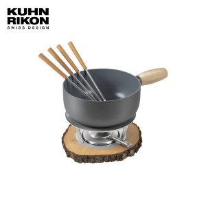 KUHN RIKON 阿爾卑斯高效導磁萬用鍋20CM #32311