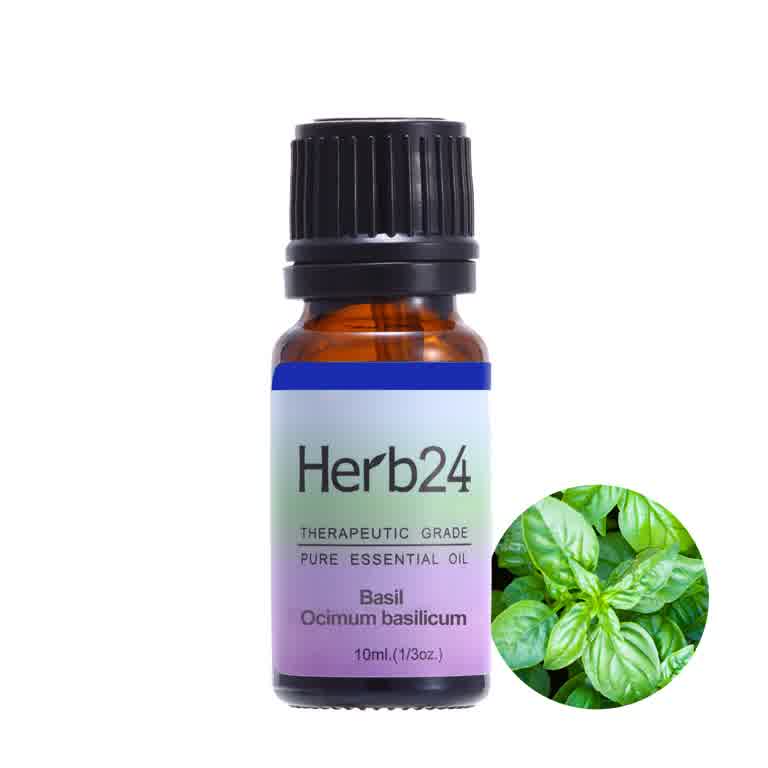 草本24-羅勒(紫蘇)純質精油 10ml