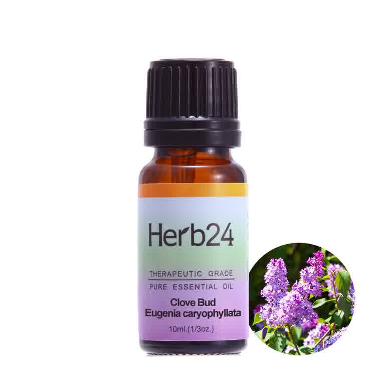 草本24-丁香 純質精油 10ml